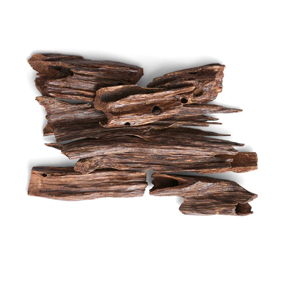 Aquilaria Agarwood Incense Grade B | 30 Gram