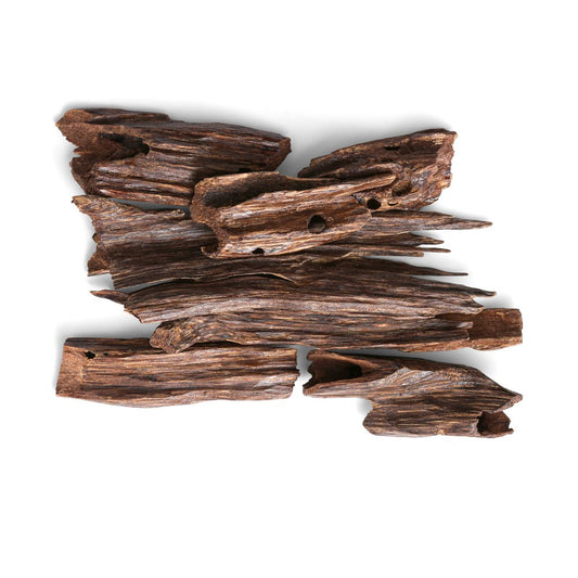 Aquilaria Agarwood Incense Grade B | 30 Gram